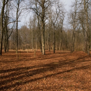 Bergfestplatz der ehemaligen Grube Hirschbach Dudweiler, Foto: Ulrich Höfer